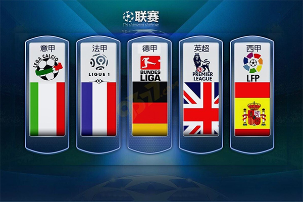 疑是职业生