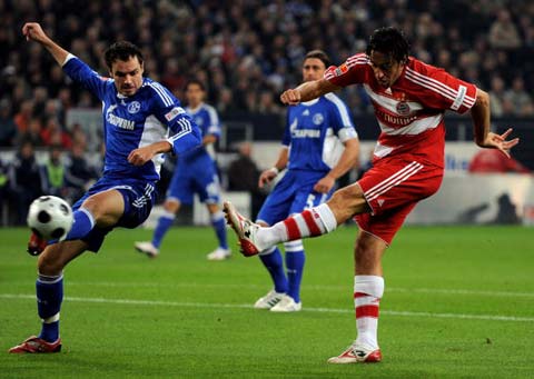 少年培养阶 少年培养阶